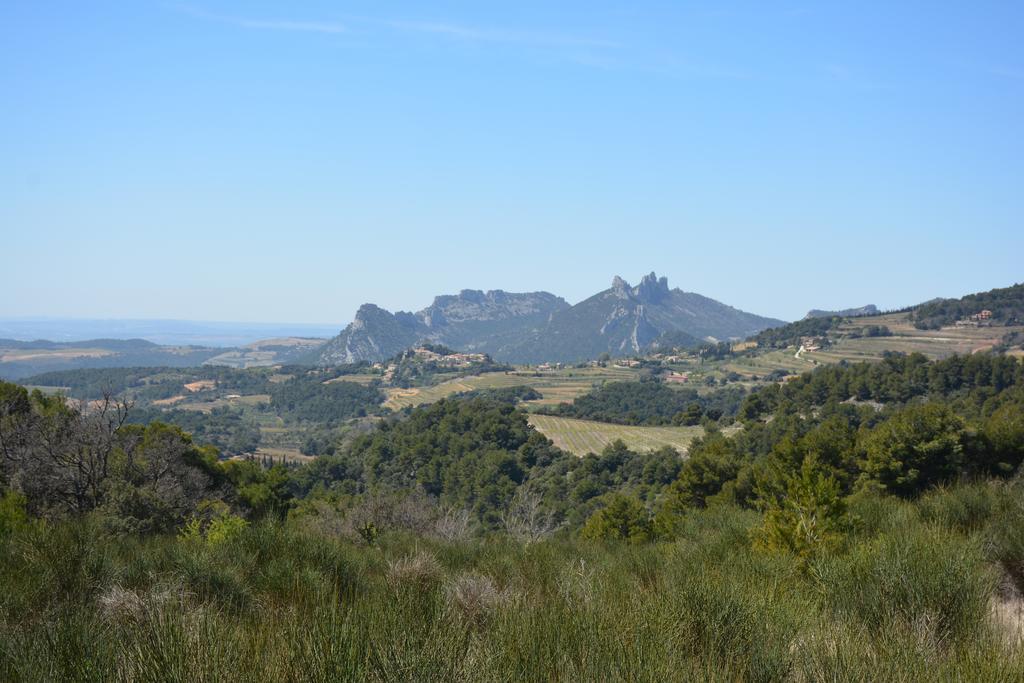 Bed and Breakfast Mas De Carabelle à La Roque-Alric Extérieur photo