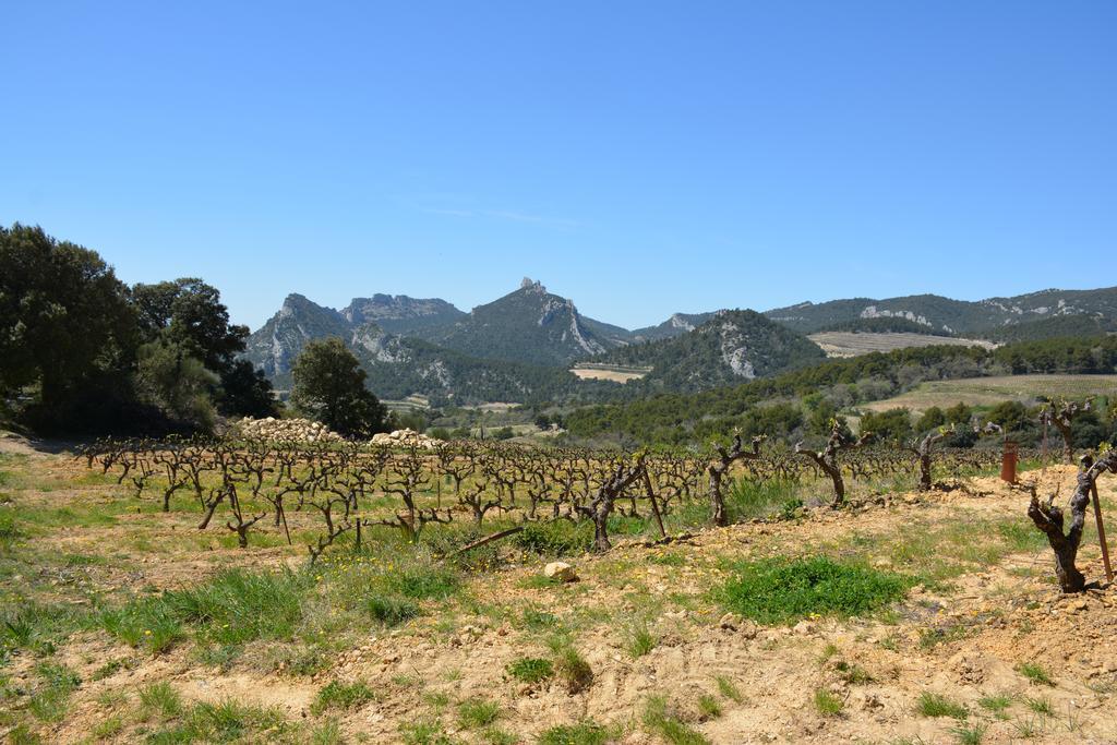 Bed and Breakfast Mas De Carabelle à La Roque-Alric Extérieur photo