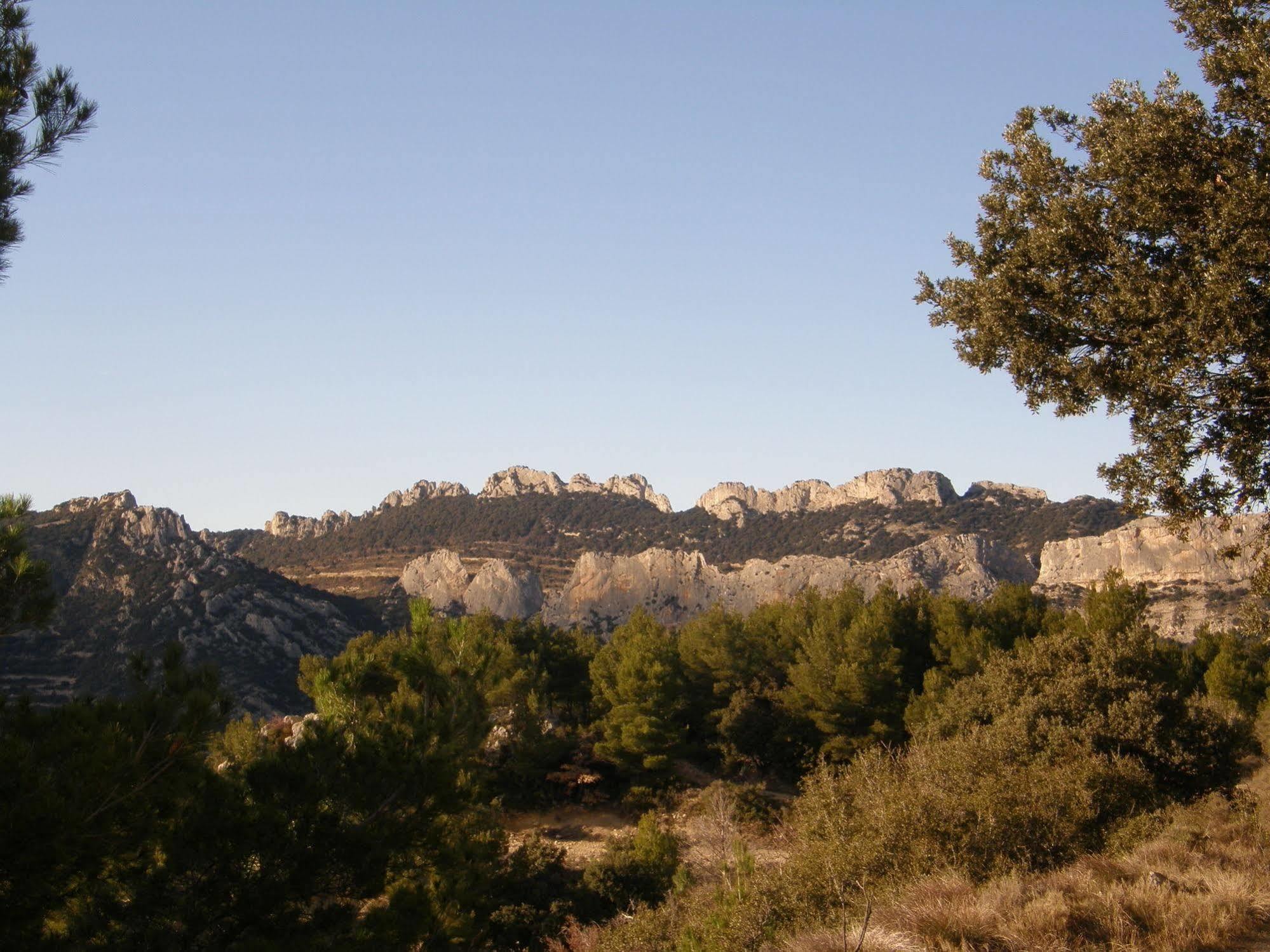Bed and Breakfast Mas De Carabelle à La Roque-Alric Extérieur photo
